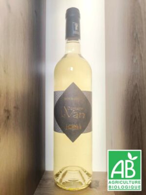 Le Van - Secret de Juliette - Blanc 2023