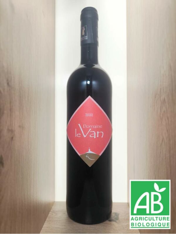 Le Van - Solola - Rouge 2024