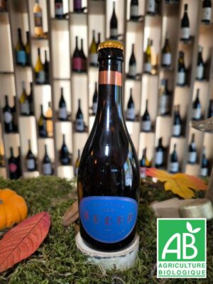 Agora Artisans Brasseurs - Agora - Bière Ambrée Ale anglaise (33cL)