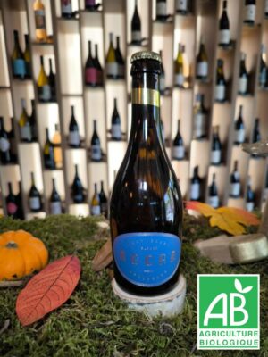 Agora Artisans Brasseurs - Agora - Bière Blonde Golden Ale (33cL)