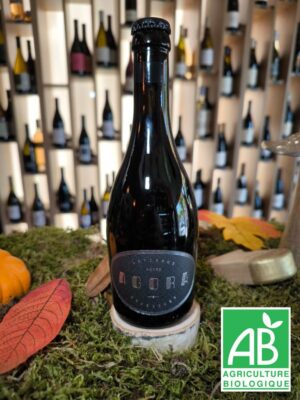 Agora Artisans Brasseurs - Agora - Bière Noire Stout (33cL)