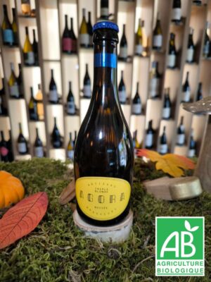 Agora Artisans Brasseurs - Agora - Bière Triple Blonde Boisée (33cL)