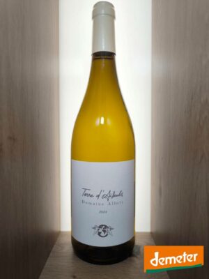 Alloïs - Terre d'Aïlleuls - Blanc 2024