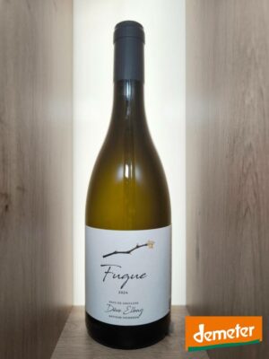 Dève Elbaz - Fugue - Blanc 2024